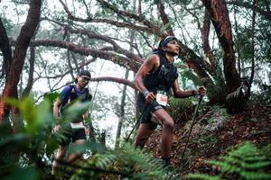 BIB: 
                            <button type="button" onclick="openModal(26295978)" class="btn btn-primary btn-sm float-right btn-popup" data-toggle="modal" data-target=".modal-high-quality">
                        <i class="fas fa-shopping-cart"></i> Add to Cart
                    </button>
                                            <button type="button" onclick="isThisMe(26295978, true)" class="btn btn-success btn-sm float-right btn-popup btn-isme hidden" data-toggle="tooltip" data-placement="bottom" title="นี่คือรูปของคุณใช่ไหม คลิกที่นี่เพื่อเอาเข้าอัลบั้ม">
                        <i class="fas fa-plus"></i> Add to album
                    </button>
                    <button type="button" onclick="isThisMe(26295978, false)" class="btn btn-warning btn-sm float-right btn-popup btn-isnotme hidden">
                        <i class="fas fa-ban"></i> Remove from album
                    </button>